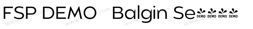 FSP DEMO   Balgin Se字体转换